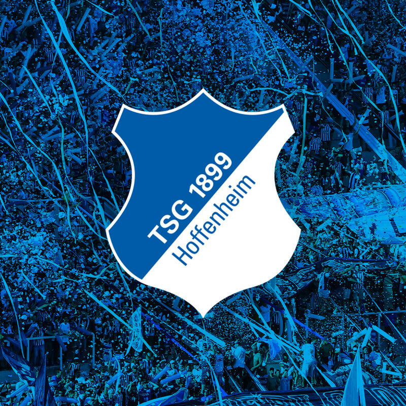 TSG Hoffenheim Teaser Bild mit Logo